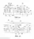 Fig. 08 - Microfluidic flow control