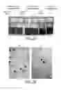 Fig. 02 - Method of producing metallic nano particle colloidal dispersions