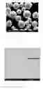 Fig. 02 - ALUMINUM-BASED METALLIC GLASS CLADDING LAYER AND PREPARATION METHOD THEREOF