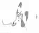 Fig. 07 - ILLUMINATION DEVICE FOR A VEHICLE AND METHOD