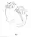 Fig. 07 - Motorcycle clutch holding device