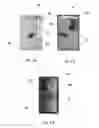 Fig. 07 - STRUCTURAL ARRANGEMENT INTRODUCED IN PACKAGING