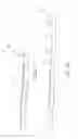Fig. 08 - Apparatus for reorienting and/or stacking products