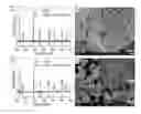 Fig. 16 - Production of alkali sulfide cathode material and methods for processing hydrogen sulfide