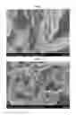 Fig. 06 - Catalyst for manufacturing multi-walled carbon nanotube and method of manufacturing multi-walled carbon nanotube using the same