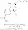 Fig. 131 - Morphan and morphinan analogues, and methods of use