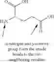 Fig. 91 - Acylated Glucagon Analogues