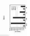 Fig. 07 - ANTI CEACAM1 ANTIBODIES AND METHODS OF USING SAME