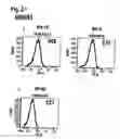 Fig. 04 - Methods for the treatment of interleukin-6 receptor-related diseases and disorders
