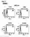 Fig. 05 - Methods for the treatment of interleukin-6 receptor-related diseases and disorders