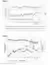 Fig. 02 - Method for obtaining high-yield, stable expression cell clones and antibody molecules obtained thereby