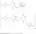 Fig. 18 - Poly(aspartic acid) derived co-polymers for a controlled release of perfuming ingredients