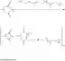 Fig. 21 - Poly(aspartic acid) derived co-polymers for a controlled release of perfuming ingredients