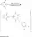 Fig. 22 - Poly(aspartic acid) derived co-polymers for a controlled release of perfuming ingredients