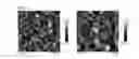 Fig. 06 - METHOD FOR PREPARING NANO-PATTERN, AND NANO-PATTERN PREPARED THEREFROM