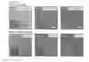 Fig. 22 - METHOD FOR PREPARING NANO-PATTERN, AND NANO-PATTERN PREPARED THEREFROM