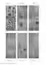 Fig. 02 - Method for differentiation into retinal ganglion cells from stem cells