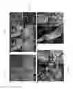 Fig. 08 - Method for differentiation into retinal ganglion cells from stem cells