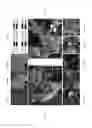 Fig. 10 - Method for differentiation into retinal ganglion cells from stem cells