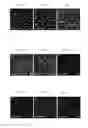 Fig. 25 - Method for differentiation into retinal ganglion cells from stem cells