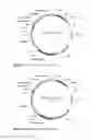Fig. 02 - Alpha-glucosidase, compositions and methods