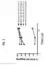 Fig. 07 - EXON SKIPPING COMPOSITIONS FOR TREATING MUSCULAR DYSTROPHY