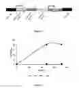 Fig. 02 - L-arabinose assimilation pathway and uses thereof