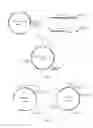Fig. 02 - Spinosad heterologous expression strain and construction method thereof and use