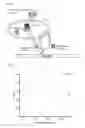 Fig. 02 - Electrochemical detection of microorganisms