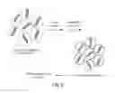 Fig. 10 - SYSTEMS, METHODS, AND KITS FOR AMPLIFYING OR CLONING WITHIN DROPLETS