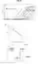 Fig. 12 - COMPOSITIONS AND METHODS FOR DETECTING NUCLEIC ACIDS IN SPUTUM