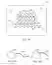Fig. 19 - Systems and Methods for Multiple Analyte Detection