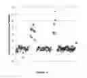 Fig. 23 - Method for determining copy number variations