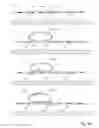 Fig. 27 - SELF-ASSEMBLED SINGLE MOLECULE ARRAYS AND USES THEREOF