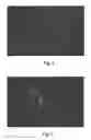 Fig. 29 - SELF-ASSEMBLED SINGLE MOLECULE ARRAYS AND USES THEREOF