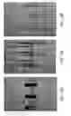 Fig. 20 - Sieve valves, microfluidic circuits, microfluidic devices, kits, and methods for isolating an analyte