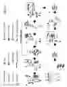 Fig. 28 - Sieve valves, microfluidic circuits, microfluidic devices, kits, and methods for isolating an analyte