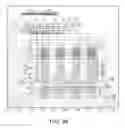 Fig. 78 - Sieve valves, microfluidic circuits, microfluidic devices, kits, and methods for isolating an analyte