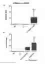Fig. 01 - Method of evaluating the response of ataxia telangiectasia patients to glucocorticoids treatment