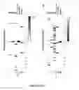 Fig. 29 - Methods for early identification of bone healing ability in injured patients