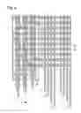 Fig. 07 - WEBBING FOR SEAT BELT