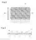 Fig. 09 - WEBBING FOR SEAT BELT