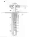 Fig. 01 - Electrical system and method for selective control of downhole devices