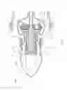 Fig. 06 - Aircraft engine power generator disposed inside of a stationary nose cone
