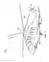 Fig. 02 - Flange-mounted ring gear for improved heat management