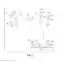 Fig. 07 - Ultra-sensitive detection of molecules or particles using beads or other capture objects