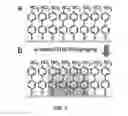 Fig. 02 - Functionalized nanomembrane, a method for preparation thereof and their use