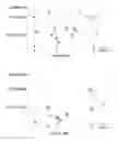 Fig. 273 - TOUCH SCREEN DEVICE, METHOD, AND GRAPHICAL USER INTERFACE FOR CUSTOMIZING DISPLAY OF CONTENT CATEGORY ICONS