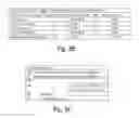 Fig. 10 - SYSTEM AND METHOD FOR ASSURING COMMERCIAL REGULATORY COMPLIANCE