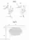 Fig. 08 - Driving assistance device and driving assistance method